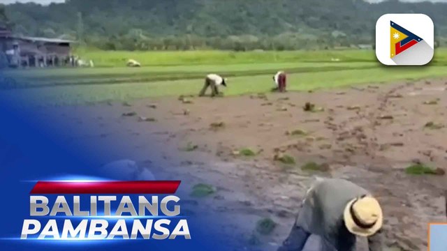 Pagsusulong sa food security and nutrition plan sa BARMM, tuloy-tuloy pa rin