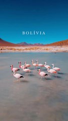 Salar de Uyuni - unique salt flats located in Bolivia, on the desert high plain of the Altiplano