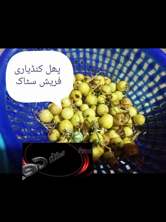پھل کنڈیاری