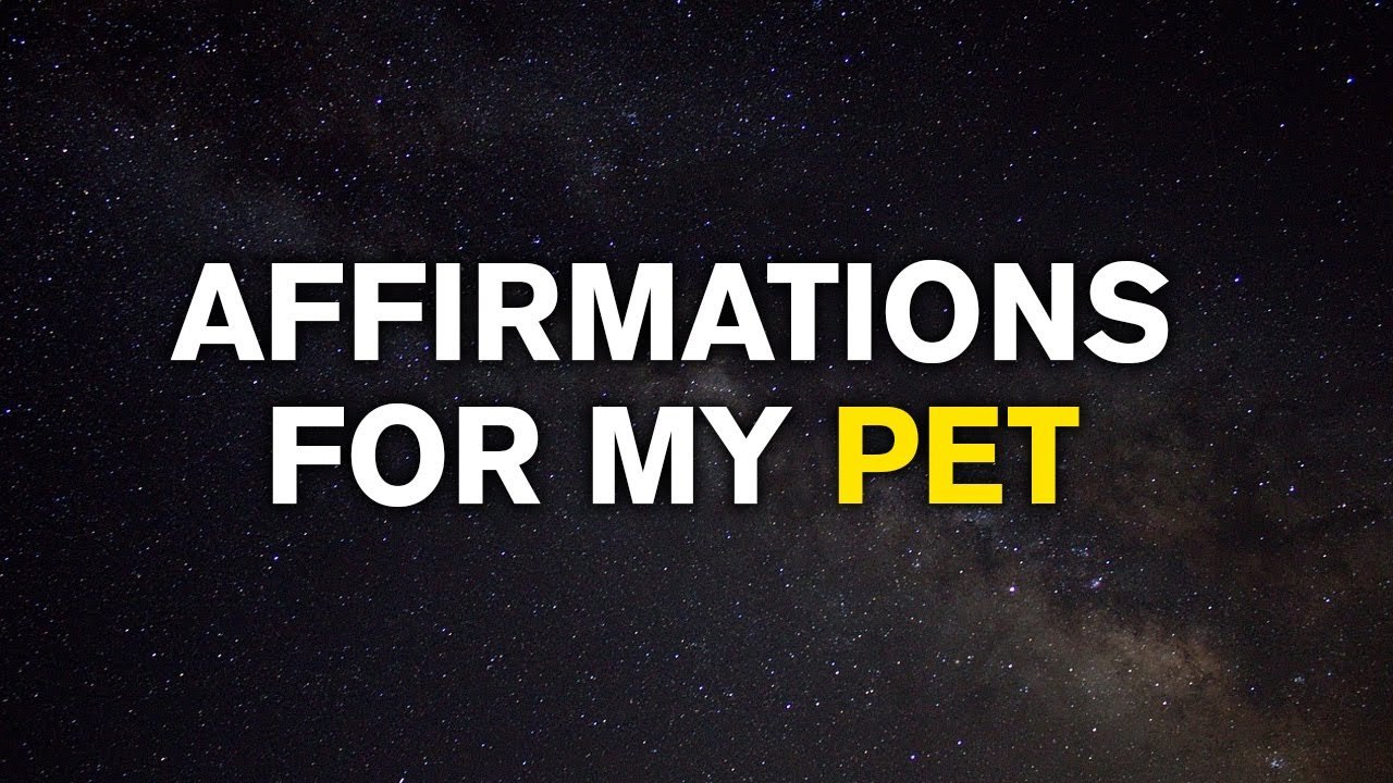 For the Love of Pets | Affirmations For My Pet | It Will Help to Bond with Your Pet | Manifest