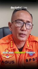 Cuaca Ekstrem, Puluhan Pohon Tumbang di Jembrana