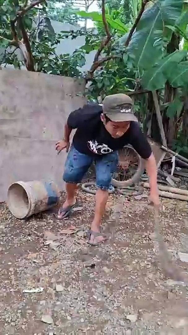 Comedy