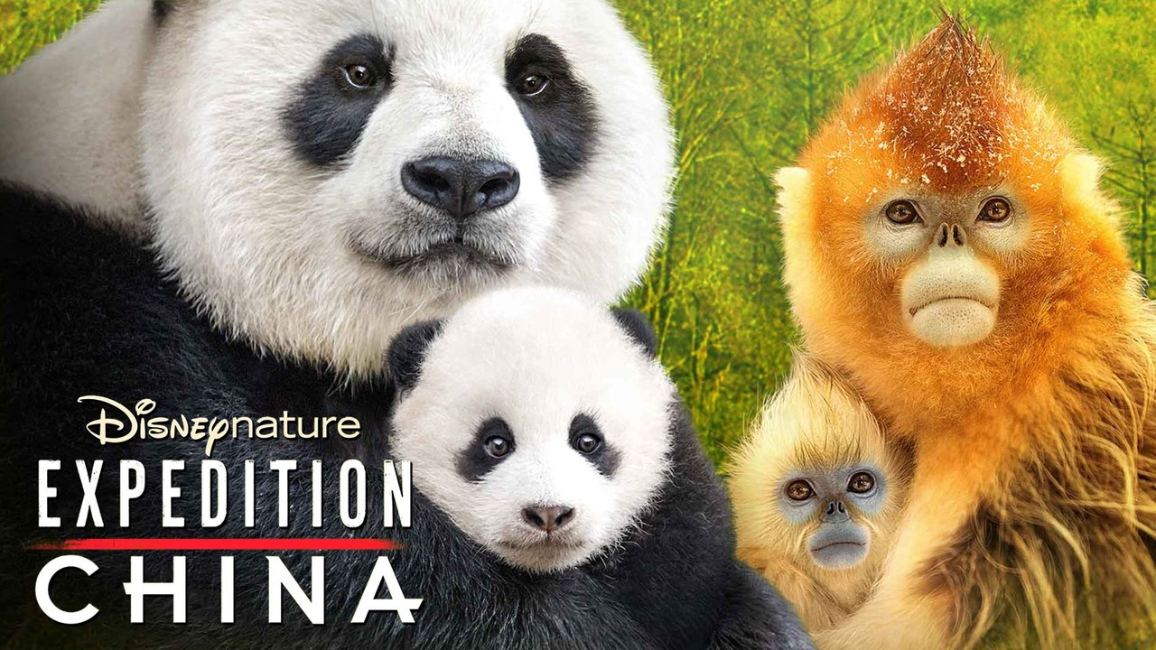 Born in China (2016) | Documentary / Nature FULL Movie [1080p Blu-ray]