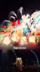 Five Years of Marriage, You Say Love is Tired - Fu