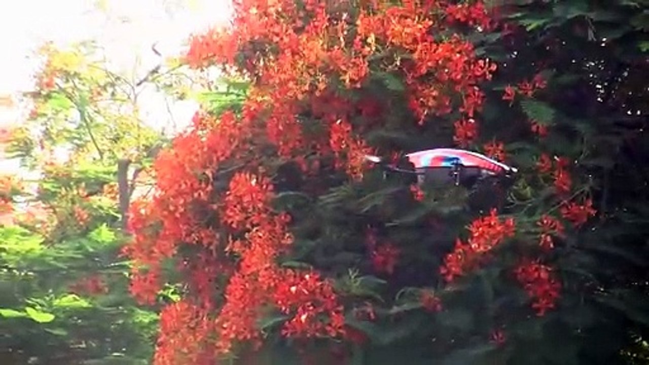 Parrot AR.Drone 2 Quadricopter test flight
