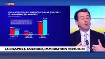 Nicolas Pouvreau Monti : «C'est 3 à 4 fois moins que les immigrés en provenance du Maghreb»