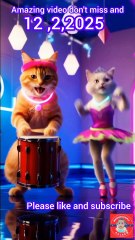 Cute cat dance #cat #dance #funny #foryou #animaldance#funny #relatible #shortsfeed #catvideos