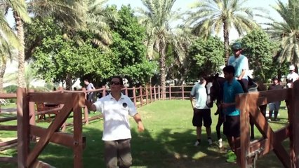 Horseback riding for special needs