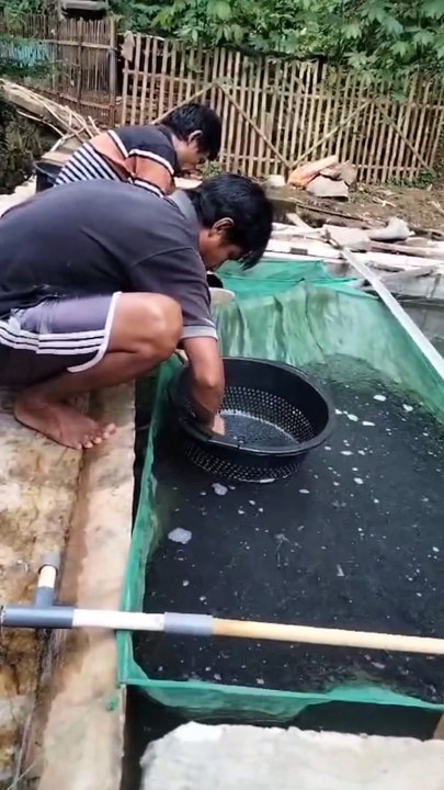 Sortir itu apa, Fungsinya apa, Kapan melakukan nya❓