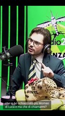 i Mao mao secondo luca scazzi