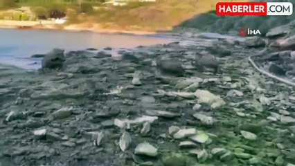 Milas Boğaziçi'nde Deniz Suyu 3 Metre Çekildi