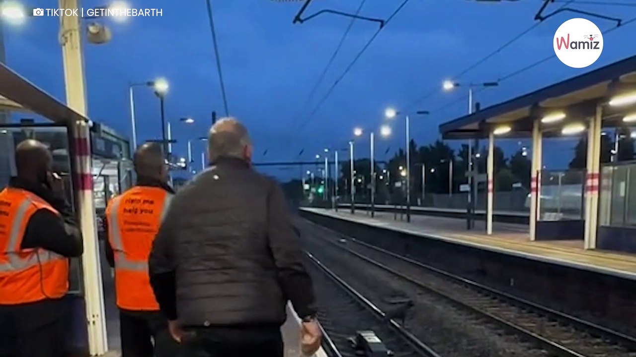 Bahnmitarbeiter rettet einen Hund von den Gleisen... mit einem genialen Trick!