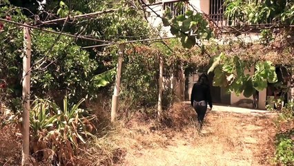 AUDRY THE LOST FRAGMENT CAPÍTULO 3 2025