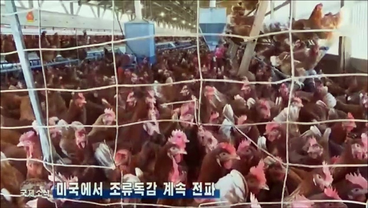 Notícias do exterior na Televisão Central da Coreia (10.02.2025)