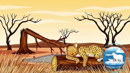 What Are The Environmental Benefits Of Solar Panels in UK_