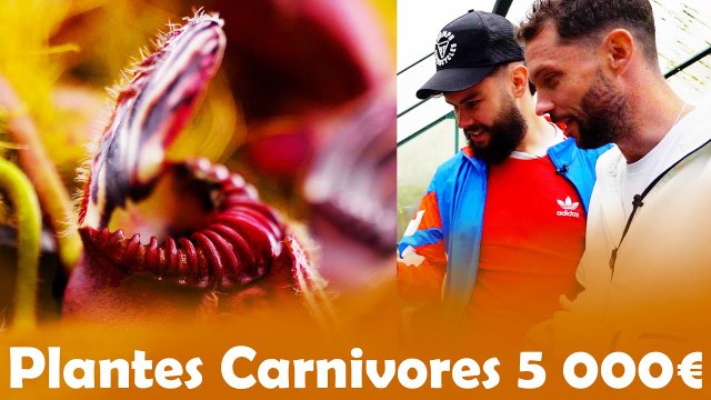 Plantes carnivores à 5€ VS 5000€ avec LeBouseuh ! 😱