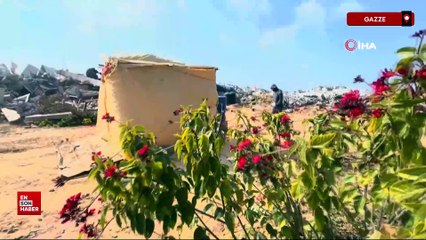 Filistinliler, enkaza dönen evlerinin yanına çadır kuruyor
