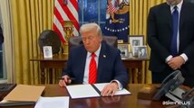 Trump firma i dazi su alluminio e acciaio: 