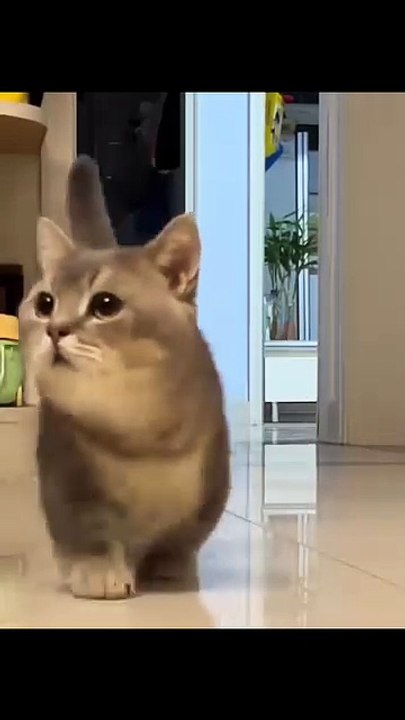 😛😛