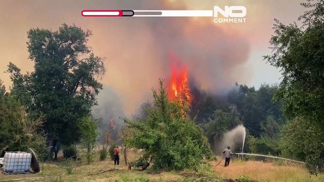 Argentina: incendi distruggono migliaia di ettari di foreste