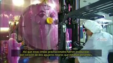 Detectaron las ondas gravitacionales que Albert Einstein predijo hace 100 años