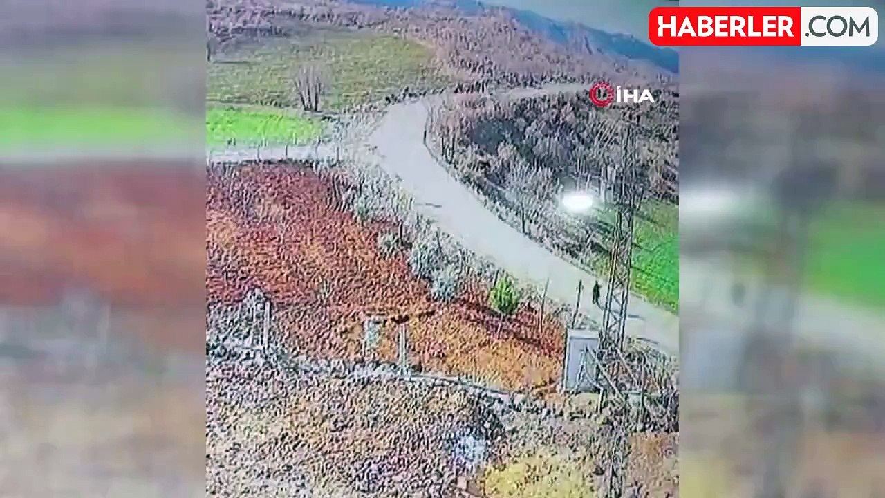 Siverek'te Kuduz Alarmı: Köylüler Başlıboş Köpeklerin Toplanmasını Talep Ediyor