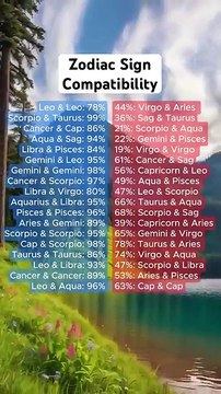 Zodiac Sign Compatibility: Which Sign Is Your Match?