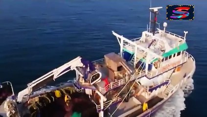 مسلسل نجمة الشمال - الحلقة 76 - تركى مدبلج