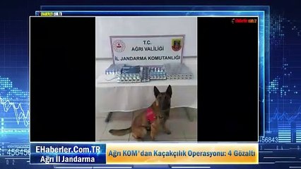 Ağrı KOM'dan Kaçakçılık Operasyonu: 4 Gözaltı