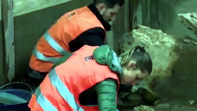 Archeologia, straordinaria scoperta a Trento