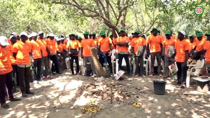Région- Dimbokro / La qualité des noix brutes de cajou au cœur de la campagne de commercialisation dans la région du N’Zi