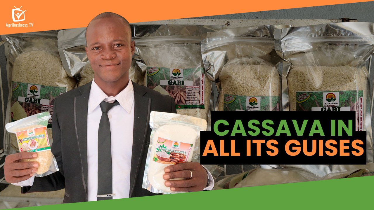 Agri Story: Cassava in all its guises