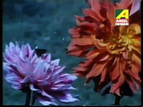 Part,2,Bengoli Bhakti Film,Manab Premik Nemai-Super Hit Film,