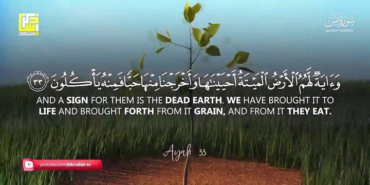 Most beautiful recitation of Surah Yaseen (Yasin) سورة يس ⋮ Nazra al Quran Majeed