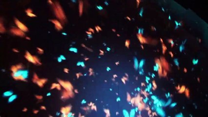 DIFF 2012 closing ceremony