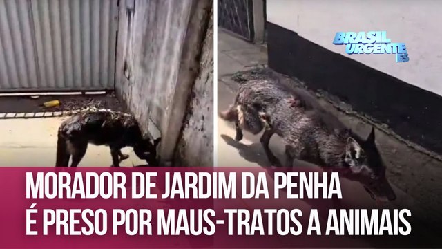 Morador de Jardim da Penha é preso por maus-tratos a animais