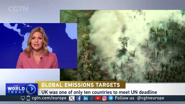 Climate report: 95% of countries miss UN deadline to update climate pledges