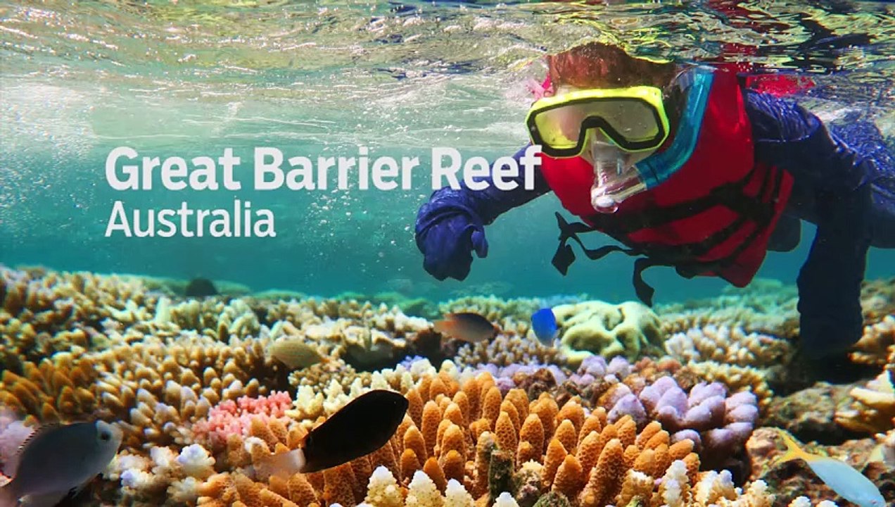 8 most beautiful snorkelling destinations in the world - GN Guides