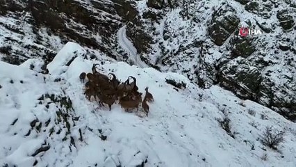 Bayburt’un zirvelerinde nadir görüntü