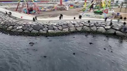 İskenderunluları endişelendiren görüntü: Daha önce karşılaşmadık!