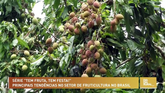 Série Tem fruta, tem festa! : principais tendências no setor de fruticultura no Brasil