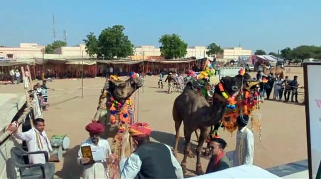 राज्य के बाहर से आए पशुपालकों की खरीद का आंकड़ा ढाई करोड़ पार