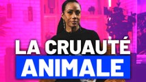 Christine Kelly : «La cruauté animale, déchéance d’une société»