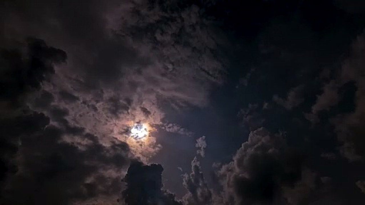 (Joycourses.com)(Cheap) Duston Mc Groarthy – The $1KDay Challenge