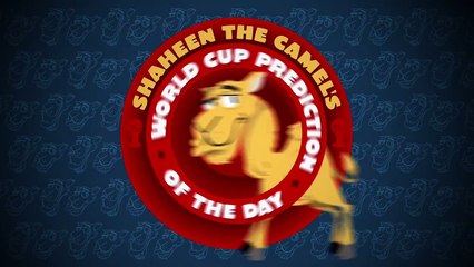 Belgium vs Russia: Shaheen the camel's World Cup prediction of the day