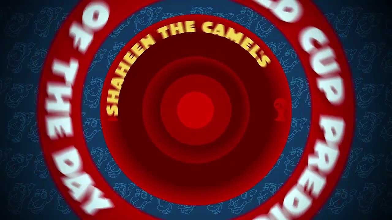 Switzerland vs France: Shaheen the camel's World Cup prediction of the day