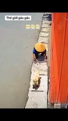 Today I didn't see my brother reporting at home, so he went to report to the village