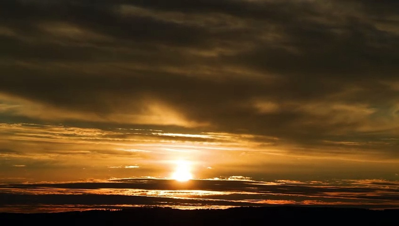 (Joycourses.com)(Cheap) Growth School – SEO At Scale Course