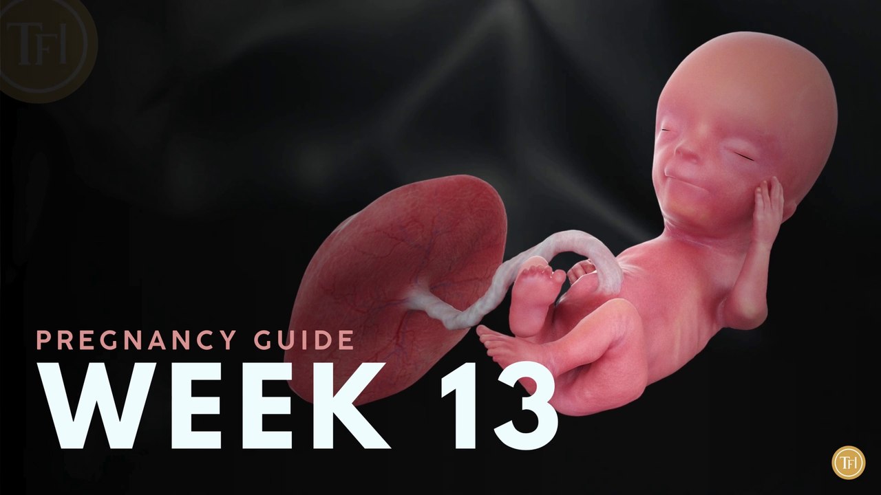 What to Expect at Week 13 | Week by Week Pregnancy Guide