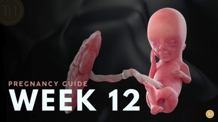 What to Expect at Week 12 | Week by Week Pregnancy Guide